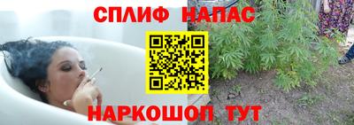 гашик Волжск
