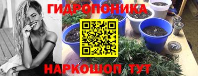 гашик Волжск