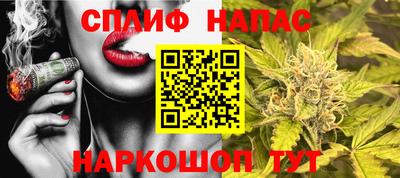 гашик Волжск