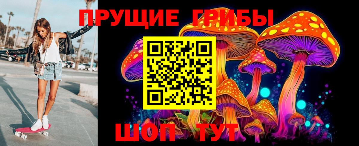 Новоалександровск  Галлюциногенные грибы мухоморы  Псилоцибиновые грибы прущие грибы  Вход с VPN 