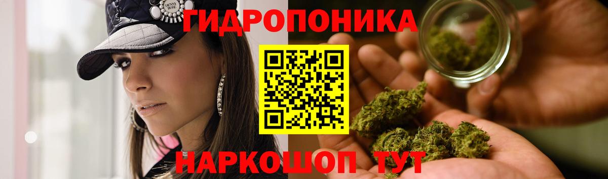 Бошки марихуана VHQ Новоалександровск